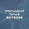 VPNとUrleBirdでTikTokを匿名で見る方法