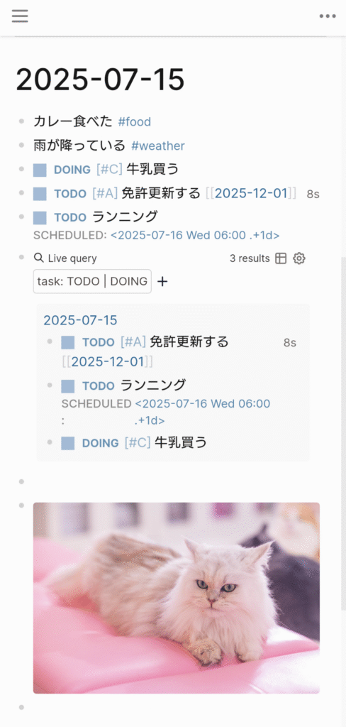 Logseq Android 07